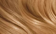 Add Ons Colors for Luxury Wigs
