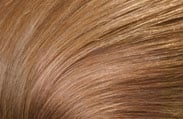 Add Ons Colors for Luxury Wigs