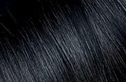 Add Ons Colors for Luxury Wigs